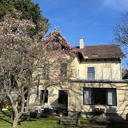 Beletage Johann Strauss Klosterneuburg Buitenkant foto