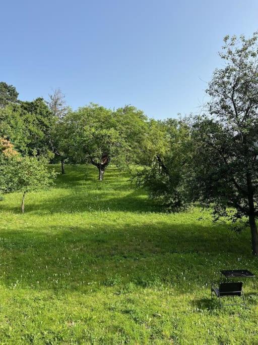 Beletage Johann Strauss Klosterneuburg Buitenkant foto